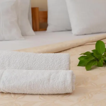 Alexatos Studios&apartments Agia Efimia
