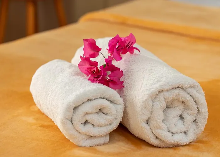 阿莱克萨图斯公寓酒店 4* Agia Efimia