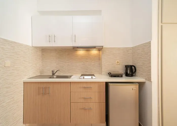 阿莱克萨图斯公寓酒店 4* Agia Efimia