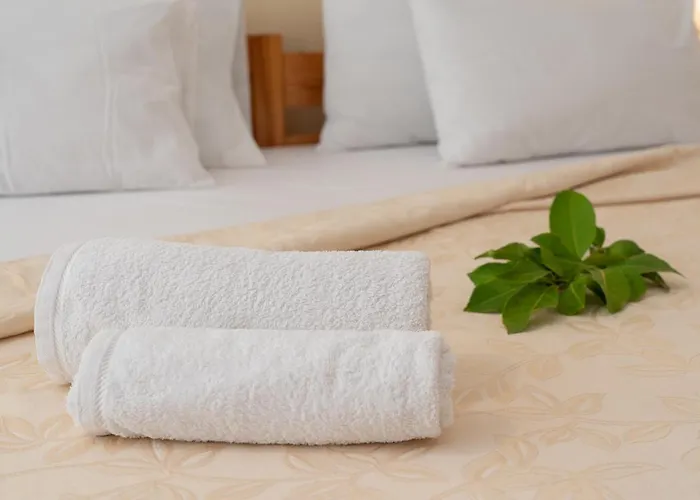 阿莱克萨图斯公寓酒店 Agia Efimia