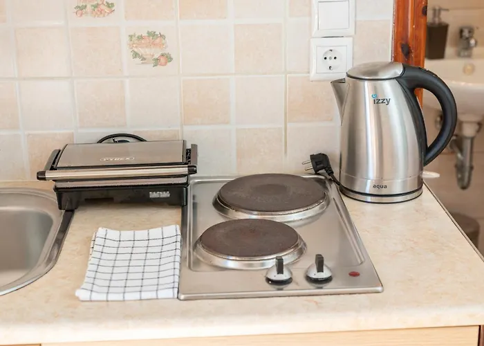 阿莱克萨图斯公寓酒店 4*